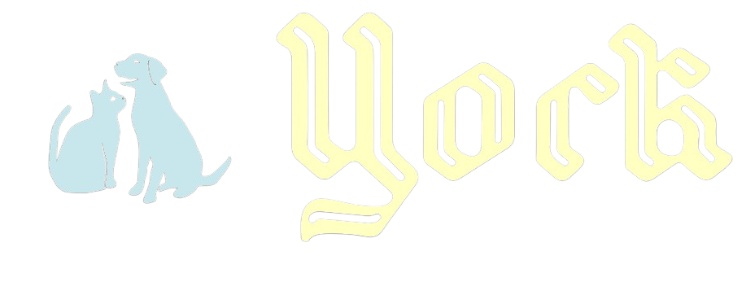 york logo